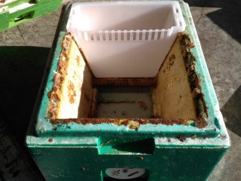 Râtelier à abeilles